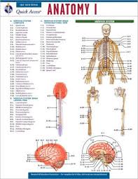 Anatomy 1 Reas Quick Access Reference Chart Paperback