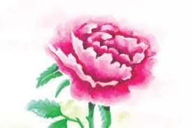 Whether you are picking out a flower bouquet for mother's day or a wedding or planting a garden, discover the secret language of flowers! Using Peony Flowers To Attract Love With Feng Shui Fengshuied