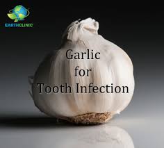 garlic for tooth abscess infected gums