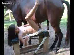 Femme baiser par un cheval