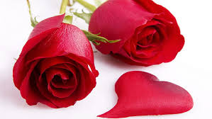 happy valentine heart love red rose