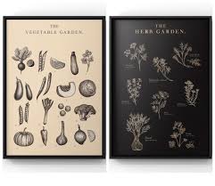 Vegetable Garden Posters Home Decor