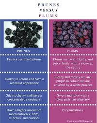نتیجه جستجوی لغت [prunes] در گوگل