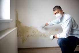 do home inspectors check for mold