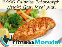 3000 Calories Sample Ectomorph Diet Best Muscle Building