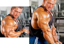 best old triceps workouts