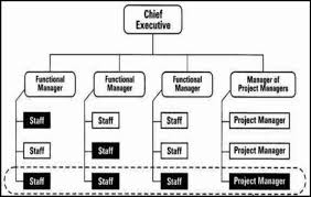 Organization Chart Of Matrix Structure Model Www Visitask