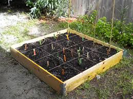 Square Foot Gardening Gardening