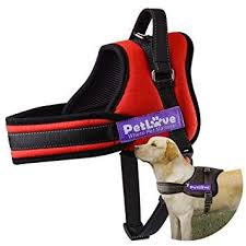 Petlove Dog Harness Soft Leash Padded No Pull Dog Harness