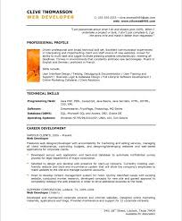 Professional Resume Template Download  Cover Letter For Sales Team     MyPerfectResume com