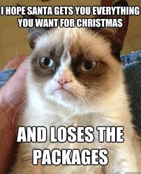 Image result for cats and christmas presents