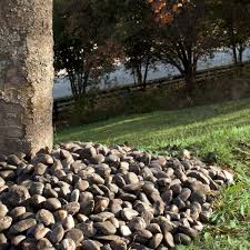 Gorgeous Pebbles For Garden Patio Design