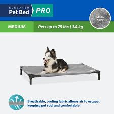 Coolaroo Pro Elevated Dog Cat Bed Steel Medium