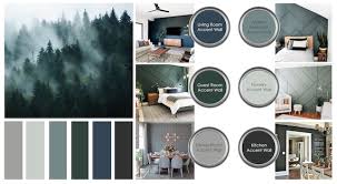 Paint Palette Guide Home Accent Walls