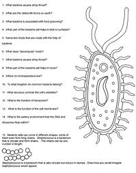 From www.biologycorner.com interest animal cell coloring page answers at children books . Color A Typical Prokaryote Cell
