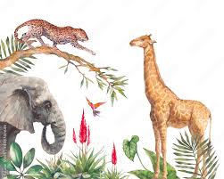 safari wildlife wallpaper ilration