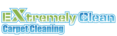 extremely clean carpet cleaning reviews