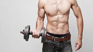 Ectomorph Diet Plan From Skinny To Strong