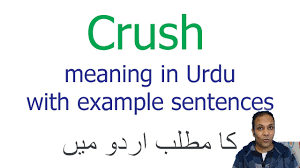 crush meaning in urdu crush ka kya