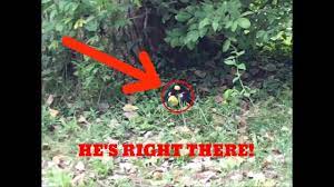 I FOUND BOMB FROM THE ANGRY BIRDS IN REAL LIFE!? *OMG* - YouTube