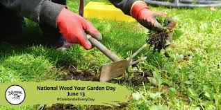 National Weed Your Garden Day June 13