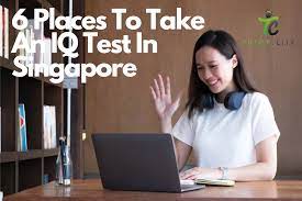 6 places to take an iq test in singapore