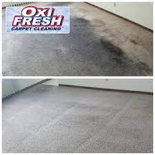 carpet cleaning in jackson tn