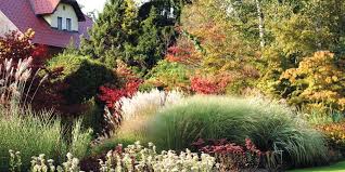 The Benefits Of Ornamental Grasses