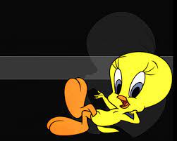 wallpaper tweety bird 60 images