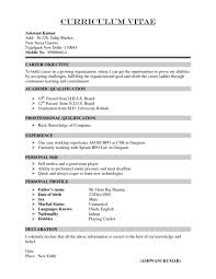 Muhammad Muazzam Ishaq Curriculum Vitae With Cover Letter  Free Resume Example And Writing Download