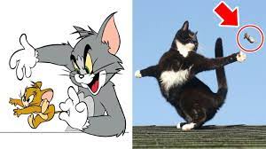 TOM AND JERRY Characters In Real Life | All Characters 2017 - YouTube