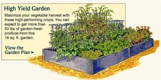 vegetable garden planner layout