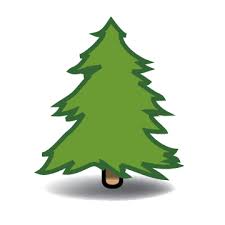 Drawing pine tree clipart kid - Cliparting.com