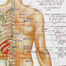 Humans Dangerous Acupuncture Points Warning Chart For Traditional Chinese Medicine Doctors Chinese Edition