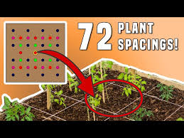 Square Foot Gardening Plant Spacing