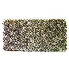 Pp Jn 6021 A Green Wall For Walls