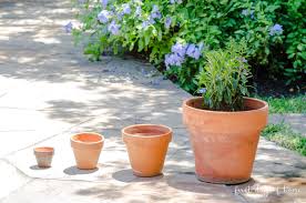 painting terracotta pots like the pros