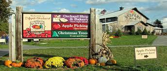 230 acre entertainment farm featuring apple picking, pumpkin picking and farm activities, and christmas tree. Kuipers Family Farm And Apple Orchard Chicagofun Com