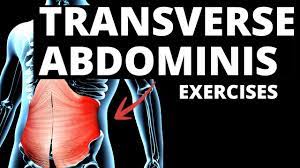 transverse abdominis exercises
