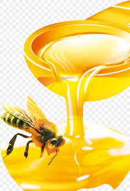 Honey Bee Organic Food Honey Bee Beehive Png 1140x1669px