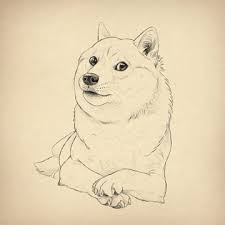 tutorial many fun how to draw doge