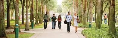 Florida Colleges and Universities | Find a College FL