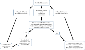 Flowchart Showing A Suggested Decision Making Process For