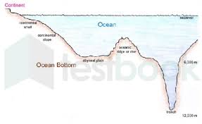 the ocean floors are divided into the