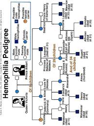 Queen Victoria And Hemophilia Family Tree Hemophilia T
