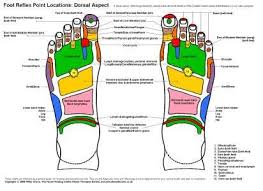 Reflexology Foot Chart Dorsal View Foot Chart Foot