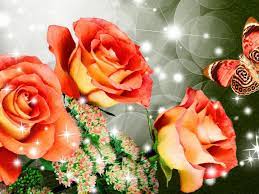 Fire Roses HD desktop wallpaper ...