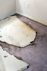 flood damaged carpets in newport or