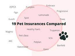 Best And Worst Sites To Compare Pet Insurance 2021 gambar png