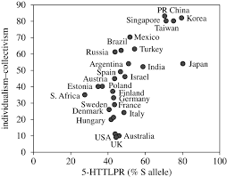 The Position Of Countries According To Hofstedes